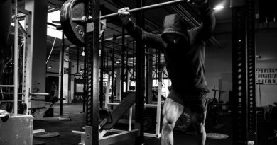 Treino de Musculação estudo em 2025